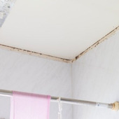 その使い方は効果半減?カビ取り剤を効果的に使う3つのポイント