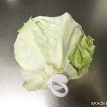 【セリア】買ってよかった!野菜を長持ちさせるグッズ