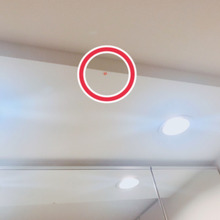 子どもがうがいをしたくなるアイディア♪