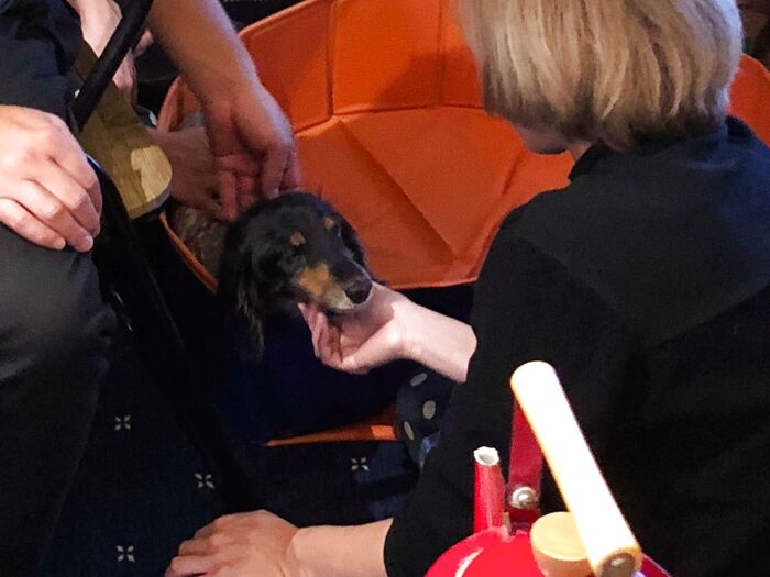 声かけ、スキンシップ