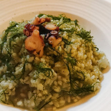 蛸と蓬のモッチリゾット