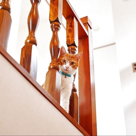 フォトジェニックなレトロな手すりを活かす