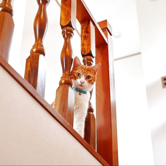 フォトジェニックなレトロな手すりを活かす