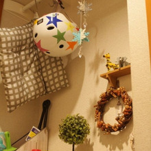 プチプラで見える収納♪