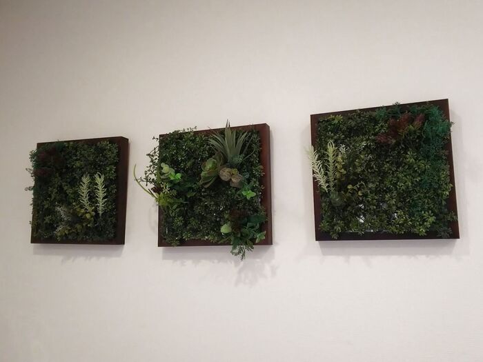 100均素材でウォールグリーン🌿