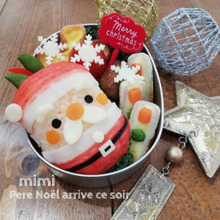 えっ!!サンタさんじゃん!おいおい!もう春ですよ…な、サンタさん弁当