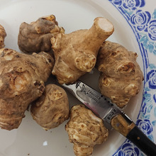 菊芋~健康食品、天然のインスリン、低カロリー、生食、美味しい