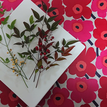 🌿 🌿 🌿 🌿 🌿 🌿 あしらいのある暮らし 🌿 🌿 🌿 🌿 🌿 🌿 🌿