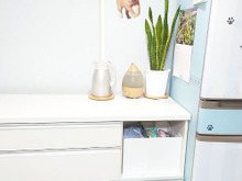 ヤバイ!レジオネラ菌の感染◆しっかり除菌対策