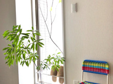 泥んこドンと来〜い!な玄関アイデア5つ☆