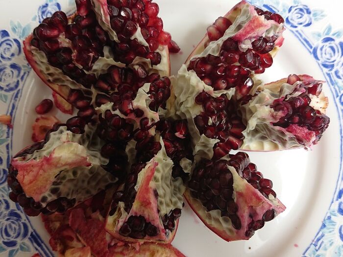 石榴(ざくろ)の正しい捌き方 保存版 お見事!!