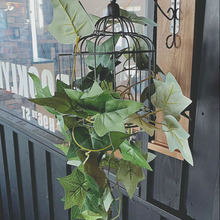 【ALLダイソー】100均材料で簡単オシャレにグリーンを飾る方法