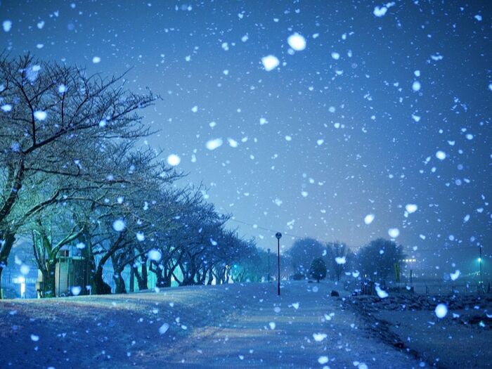 テクニック②降り注ぐ雪はフラッシュで幻想的にとらえて