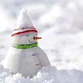 雪の日も撮影を楽しみたい!雪の日の撮影テクニック①