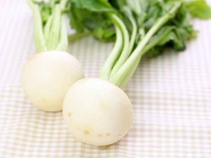 「かぶ、余らせていませんか?」これで安心。冬の野菜♡かぶの保存方法まとめ