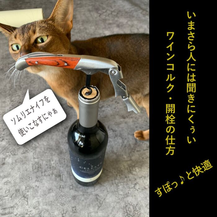 【ワインのおはなし04】はじめてのソムリエナイフ💓ワインコルクの開け方