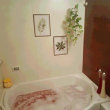 こんな物でカビ防止できるの?