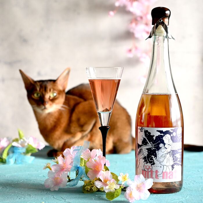 もうひとつのコーディネイト例