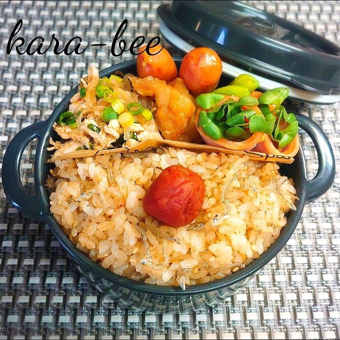 食いしん坊からちゃんの♪残り物バンザイ!おつまみおかず弁当(笑)