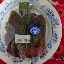 🌿🌿🌿 カラフル!!❤❤❤❤ lovelyな不断草!! 子供たち!! 🌿🌿🌿