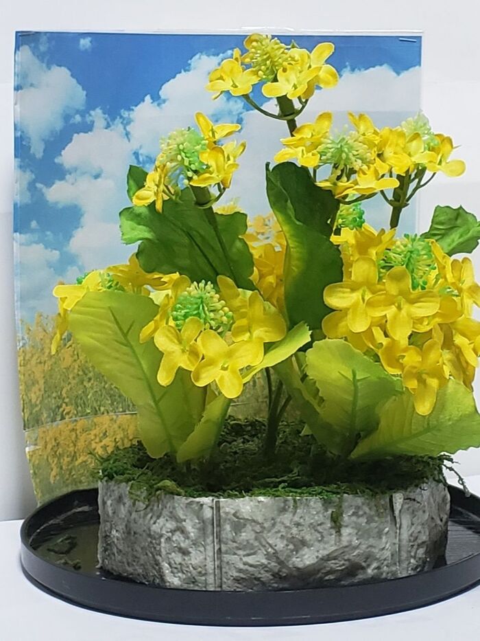 菜の花の造花で春を感じる鉢植えを作ってみました。