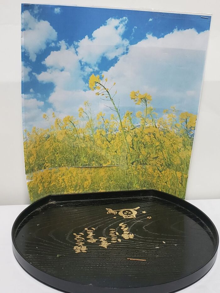 3、菜の花の鉢植えを飾る背景を作る。