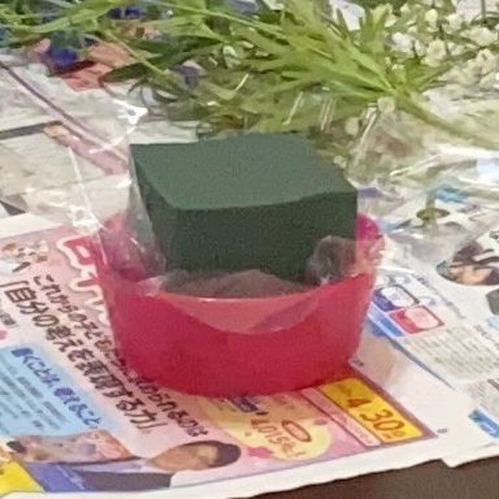 器にセロファンとオアシスをセット