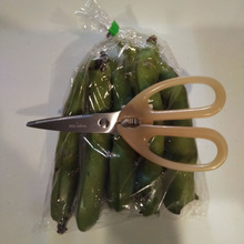 空豆をキッチンばさみで下処理ラクラク☆