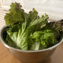 「シャキーン!」蘇る野菜達