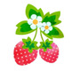 hiroichigo