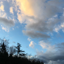 【時間オーガナイズ】子供のダラダラ生活予防!休日に早寝早起きをしてもらう方法