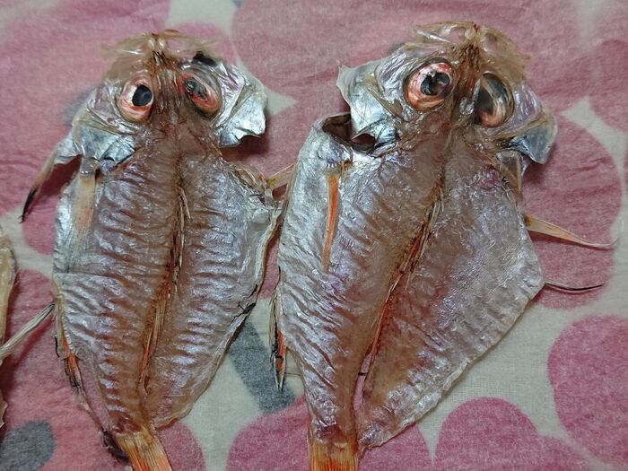 🐟🐟🐟🐟🐟 完成!! 🐟🐟🐟🐟🐟