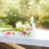 【今年の夏】プライスレスな体験はいかが?