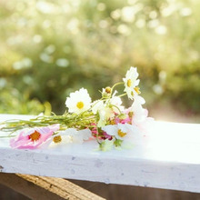 【今年の夏】プライスレスな体験はいかが?