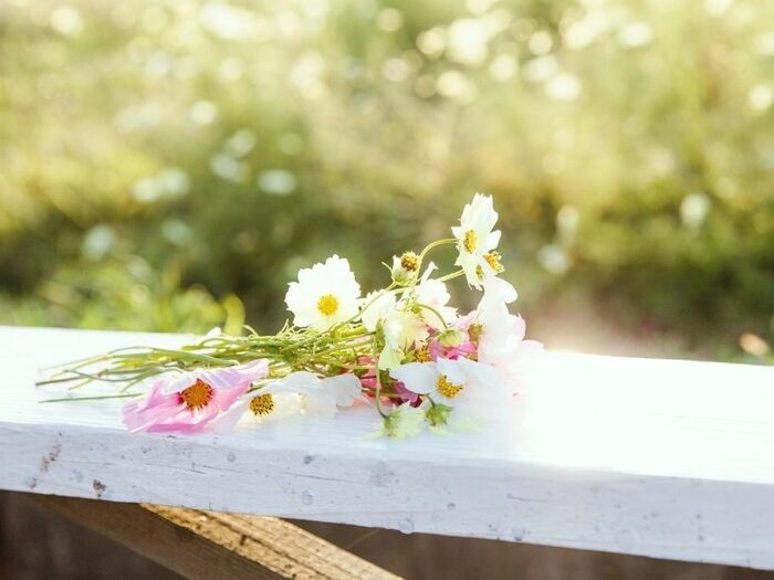 【今年の夏】プライスレスな体験はいかが?