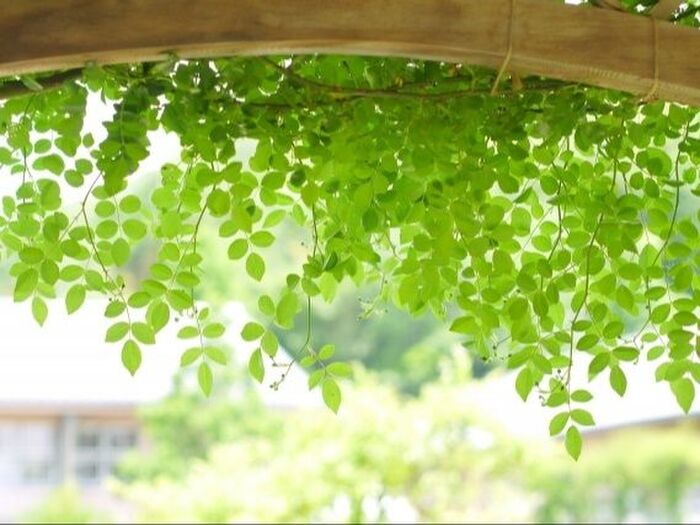 プライスレス体験をしよう!