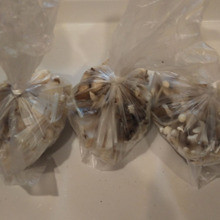 冷凍庫に常備☆自家製冷凍きのこミックス☆