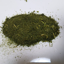 生パセリ…保存方法&使用方法(生パセリが苦手でも、たくさん美味しく摂取!)