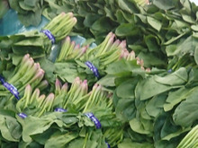 ほうれん草が『安っす~い時』には💕