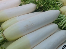 大根が『安っす~い時』には💕