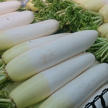 大根が『安っす~い時』には💕