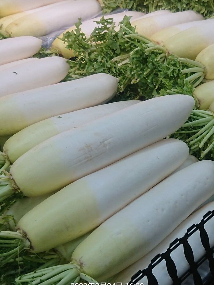 大根が『安っす~い時』には💕