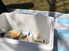 便利で愛用中♪スーパーでもらえる発泡スチロール箱