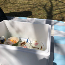 便利で愛用中♪スーパーでもらえる発泡スチロール箱