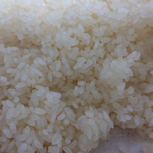 道明寺粉の作り方