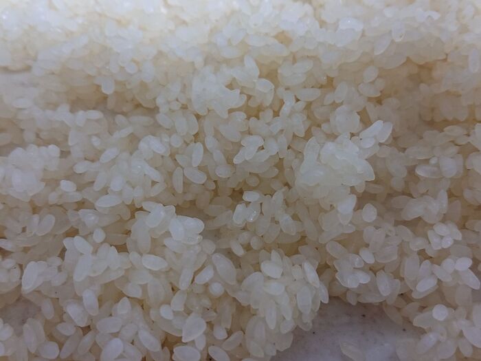道明寺粉の作り方