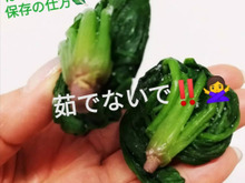 ほうれん草の冷凍保存方法。茹でないで!
