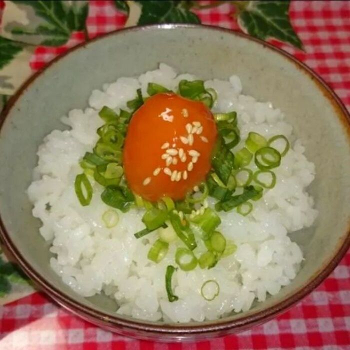 ご飯の上にのっけても美味しいょ~♪