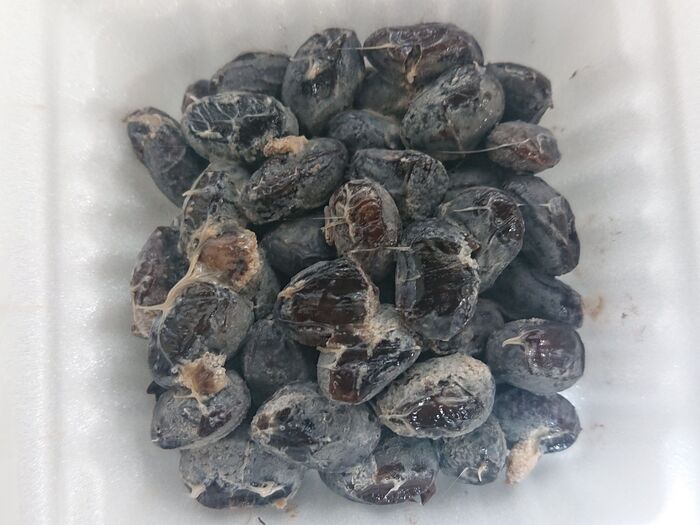 えっえEEEEEEEEEEEEEEEEEEEEEEEEEEE