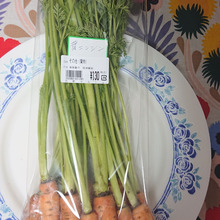 立派な葉・・・・・使えます、いろいろ、 葉っ!!